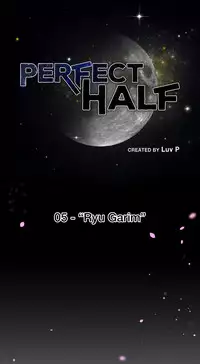 Perfect Half 完美的另一半 1-18 Chinese