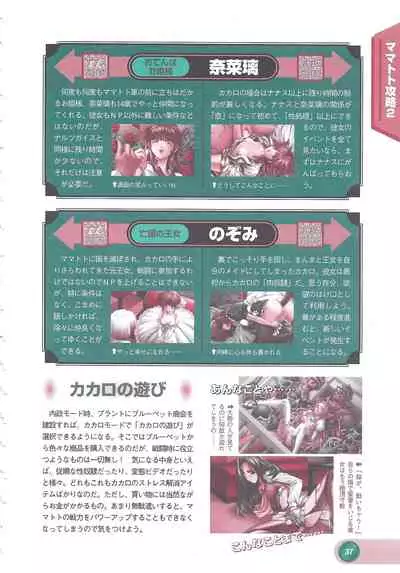 Official Alicesoft Full Completion Guide 2 (PC-CUPID)