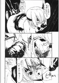 (C64) [nylon 100% (Nylon)] Private Beach! (Dead or Alive)