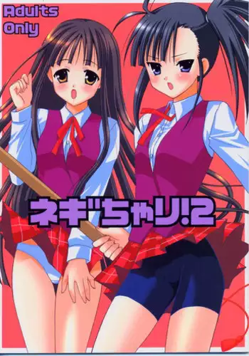 (CR35) [Teruo Haruo (Kanekiyo Miwa)] Negi Chari ! 2 (Mahou Sensei Negima!)