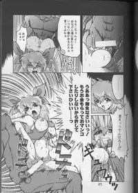 (CR18) [Tail of Nearly (Wakabayashi)] Shadow=Defence (Various)