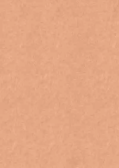 Kemono no Uta | The Song of the Beast