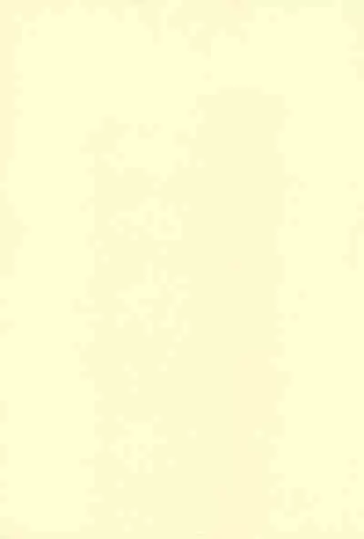 Okosama Daimyoujin 2