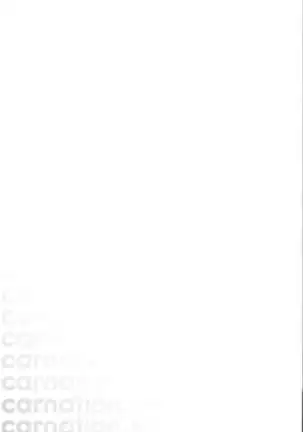 Carnation, Lily, Lily, Rose