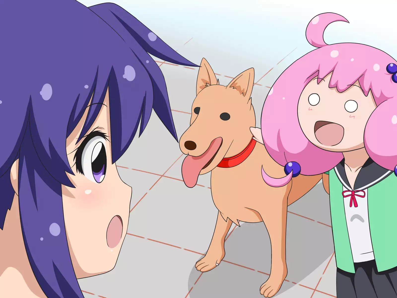 Dog F*ck Sensaaaation!