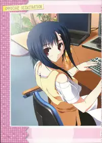 Primitive Link Visual Fanbook