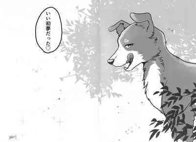 DOG.IN.CAGE The best in corn