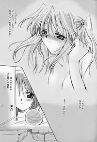 [Sakura Mitono] Higawari Lunch