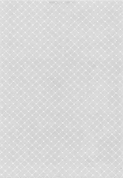 Seinaru Yoru to Omocha Asobi