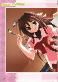 Primitive Link Visual Fanbook