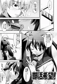 [Nippori] Daisy Blue