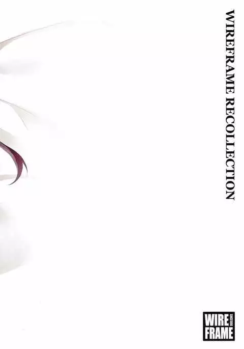 WIREFRAME RECOLLECTION