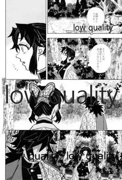 フクシアの花びら