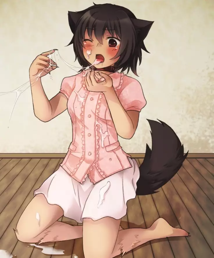 Okashi Assorted Packs - Unscented Taste