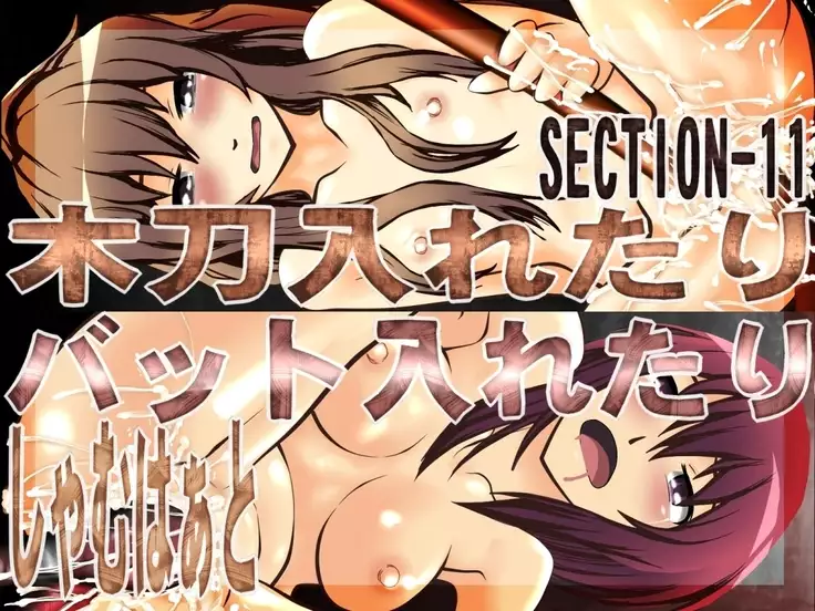 Bokutou Iretari Bat Iretari