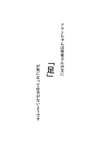 [Munrega] FranFetishism (Touhou)