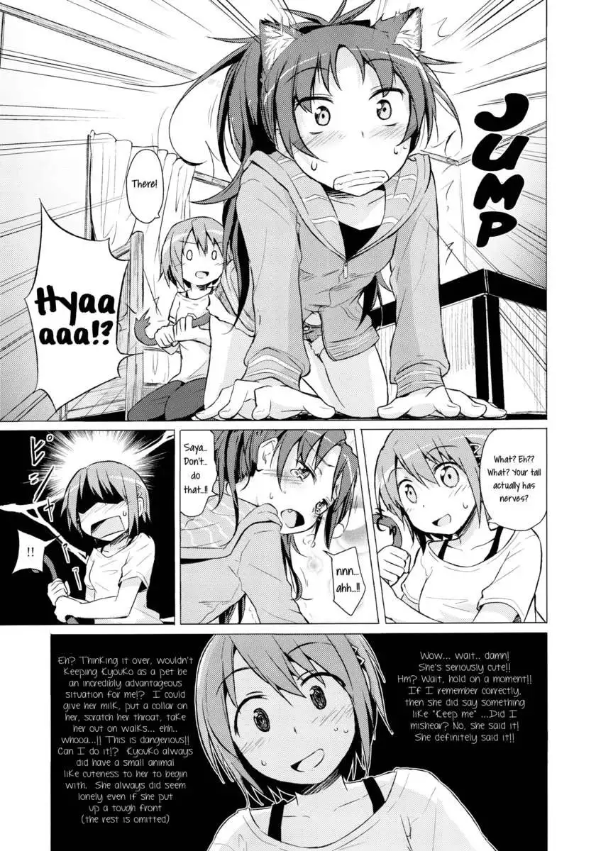 My Companion Became a Cat