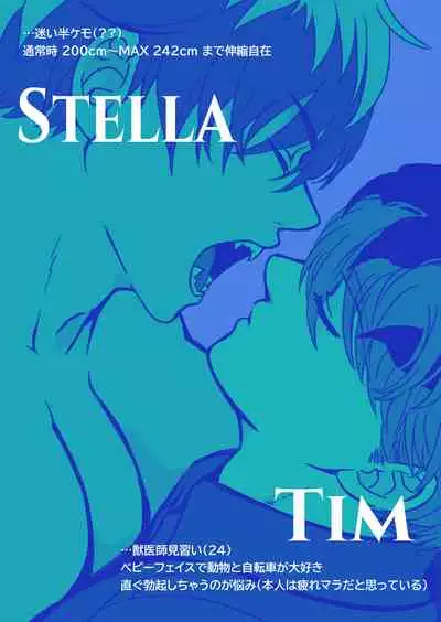 Tim & Stella 2