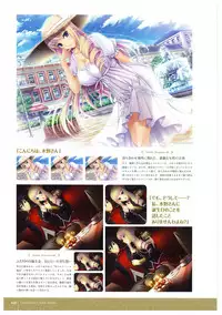 Walkure Romanze More & More Visual Fan Book