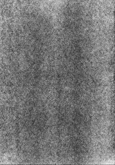 Musashi-chan to PakoCam