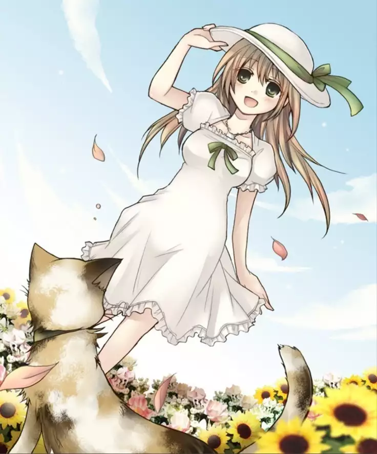 Okashi Assorted Packs - Unscented Taste