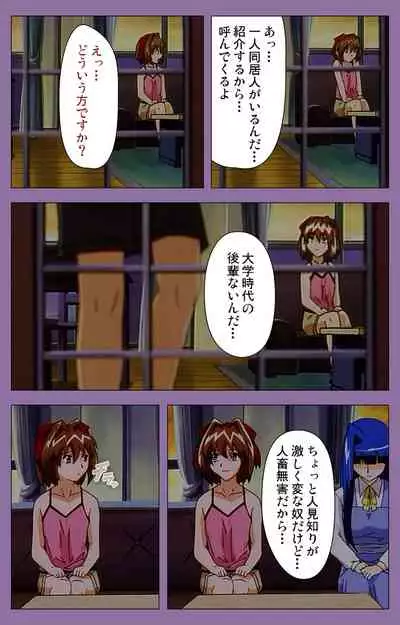 Shimai-ijiri kanzenhan