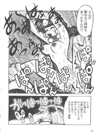 [Ogata Satomi] Kyouakuteki Shidou Selection (Various)