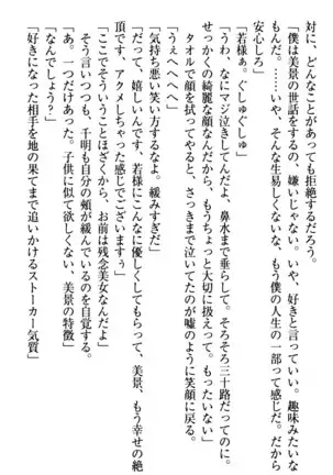 年上メイドの新婚日記