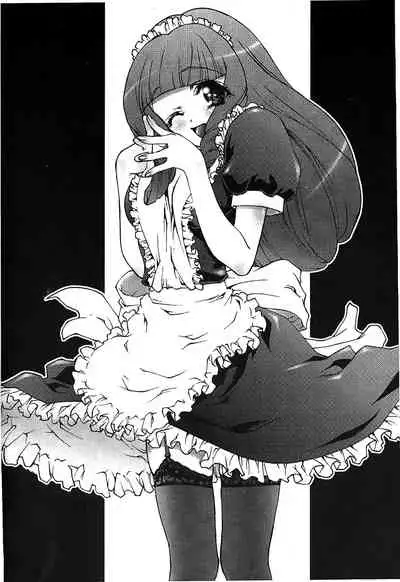 The Flower In Paris 2