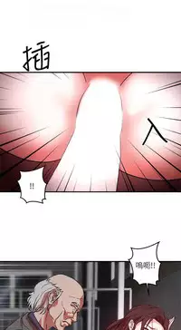 母豬養成計畫【中文】