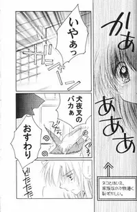 (C67) [Sakurakan (Seriou Sakura)] Lovers (InuYasha)