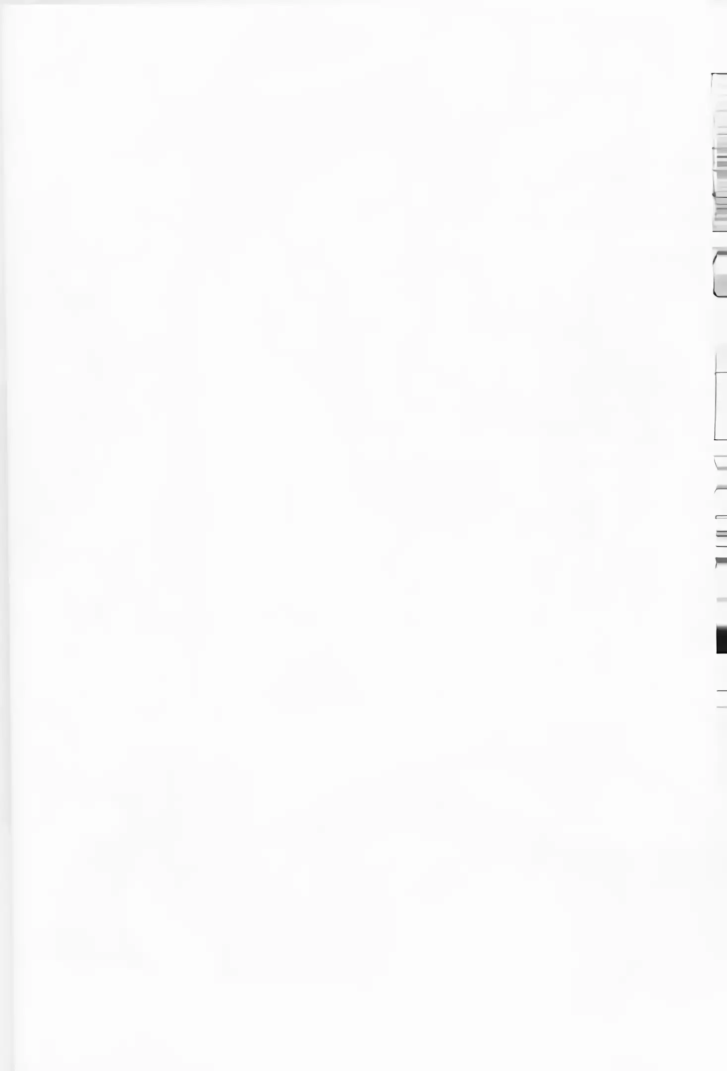 Yukuzo! Aumaan Daikessen!!