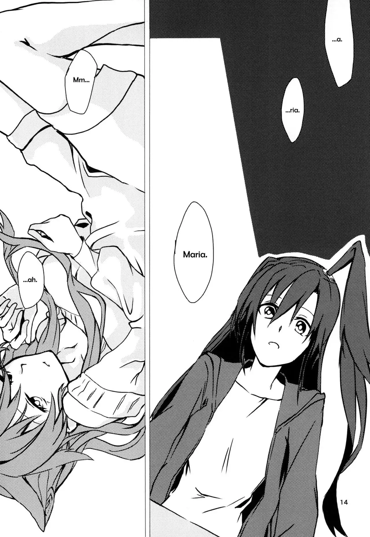 Wunsch {Halcyonvalor & Sexy Akiba Detectives}