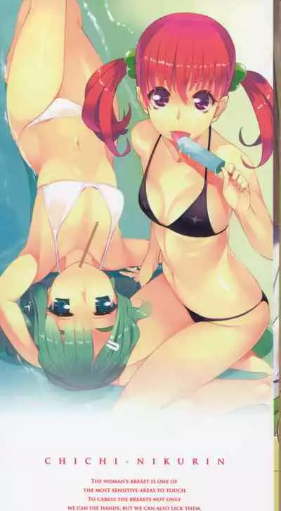 Chichi Nikurin