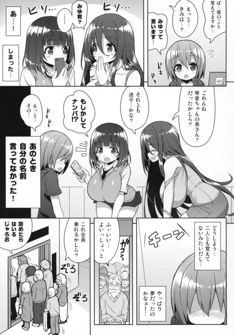 Onee-san to Onee-chan de Sandwich