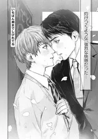 Too Drunk to Hard-on