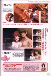 Shakkin Shimai＆Shakkin Shimai2 visual fanbook