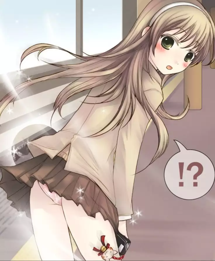 Okashi Assorted Packs - Unscented Taste