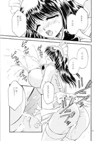 (C67) [Narimasuya] DOLLS DIARY -ReMix-