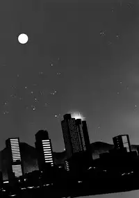 Paradox Smoke Zenpen