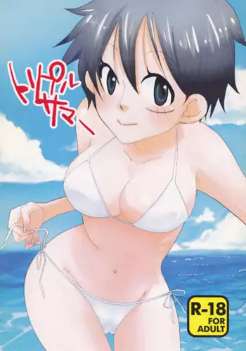 (C78) [Try Muscle (Arikawa Akira)] Triple Summer (One Piece)