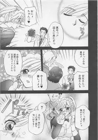 [Bakedanuki] Maid-san Beginner