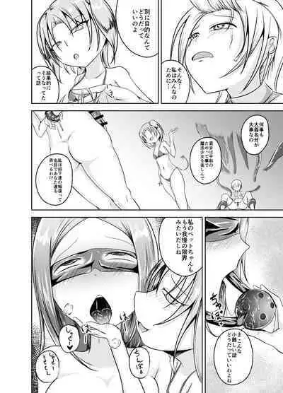 魔法少女の受難