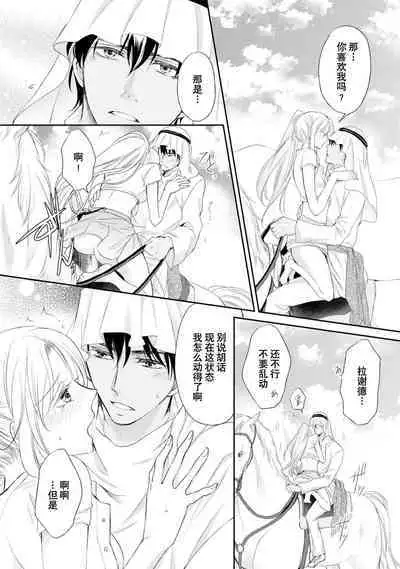 sabaku no ōji to kaizoku hime | 沙漠王子与海盗公主