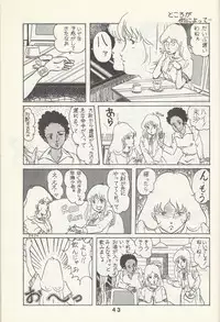 Macross Attack Team - Sky Angels IV: Don't Say Goodbye