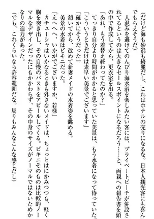 年上メイドの新婚日記