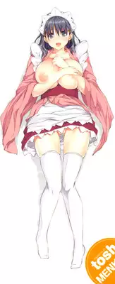 [Tosh] Maid & Master & #2-chan (Complete) [ENG]