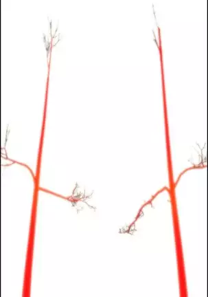 Lilith`s Cord Ch.0-36