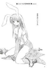 [観月堂] 電撃ラグナ (RO)