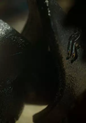 - Elf Slave 7-Double Trouble